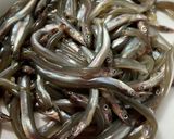 春の味　こうなごのくぎ煮作り方1写真