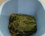 ワラビを茹でる　(タンサン使用)作り方3写真