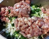 刻みしそ入り鶏肉餃子。作り方4写真