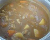熟成カレー～中辛～作り方11写真