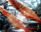 海老のチーズ姿焼き☆作り方2写真