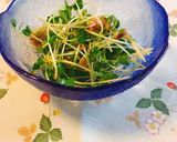 カイワレ納豆作り方11写真