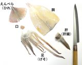 鯣烏賊（するめいか）の肝（ワタ）の姿塩辛作り方1写真