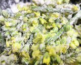 ブロッコリーの花の麵つゆ漬け揚げ作り方4写真