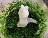 パセリの蒸しパン&カボチャディップ作り方5写真