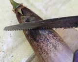 生タケノコの長期保存の方法作り方1写真