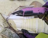 生タケノコの長期保存の方法作り方3写真