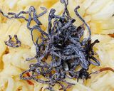ヘルシー!人参と豆苗の塩昆布和え〈副菜〉作り方2写真