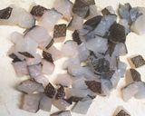 一夜干しのアラ出汁の炊き込みご飯作り方6写真
