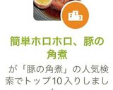 簡単ホロホロ、豚の角煮作り方6写真