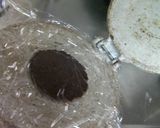 生チョコ入り♪巧克力（チョコレート）月餅作り方21写真
