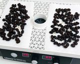 食品乾燥機で時短！黒豆の甘納豆の作り方作り方2写真