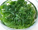 【vegan】発酵なし米粉よもぎあんぱん作り方3写真