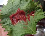 焼くだけ簡単　梅しそつくね作り方2写真