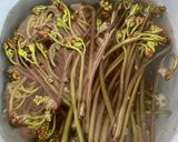 ワラビを茹でる　(タンサン使用)作り方7写真