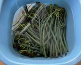 ワラビを茹でる　(タンサン使用)作り方11写真