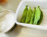 簡単・桜の葉・塩漬け作り方9写真