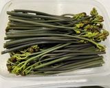 ワラビを茹でる　(タンサン使用)作り方15写真