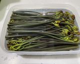 ワラビを茹でる　(タンサン使用)作り方16写真