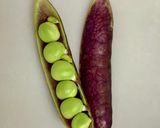 赤飯みたい！？ツタンカーメン豆ご飯作り方2写真