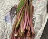 ツワブキのあく抜き作り方1写真