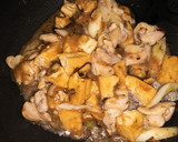 鶏肉とちぎり絹揚げの和風とろみ煮作り方4写真