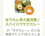 ほうれん草大量消費♪スパイスでサグカレー作り方15写真