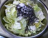 サッパリ～♪白菜と塩こんぶの浅漬け作り方1写真