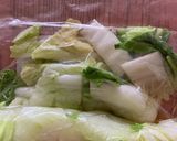 揉まない！白菜かんたん浅漬け作り方3写真