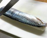 簡単な/その日に食べれる・鯖寿司作り方17写真