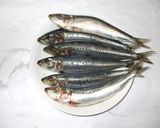 いわし甘酢漬け♪簡単いわし手開きさばき方作り方1写真