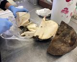 ★低卡美食★ 手工蒟蒻作り方1写真