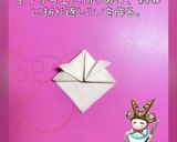 皮だけ！おつまみ風〜兜のミニ春巻き♪作り方4写真