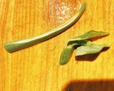 葉玉ねぎの煮物作り方3写真