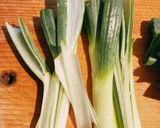 葉玉ねぎの煮物作り方4写真