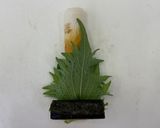 くるくる海苔チーズの大葉ちくわ作り方2写真