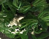 ほうれん草のおひたし作り方10写真