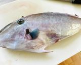 捌いてみた・カワハギの薄造り作り方1写真