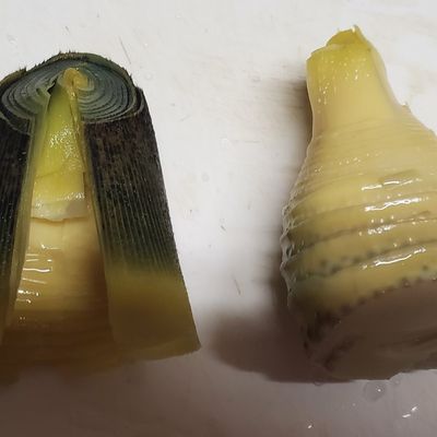 掘りたて筍の簡単あく抜き by なべじぱっど 【クックパッド
