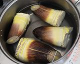 掘りたて筍の簡単あく抜き作り方4写真
