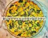 新じゃがサーモンクリームグラタン作り方13写真