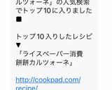 ライスペーパー消費　　餅餅♡カルツォーネ作り方11写真