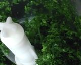 これならパセリ食べられる!魅惑のバーガー作り方1写真