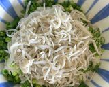 薬味いろいろ☆しらす丼作り方4写真