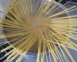 ベーコンとニンニクの芽のパスタ作り方3写真