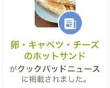 卵・キャベツ・チーズのホットサンド作り方21写真