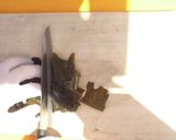 磯の香りたっぷり！わかじゃが【食遺産】作り方1写真