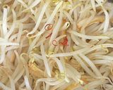 もやしと角天のごま油炒め定番ダイエット食作り方3写真