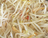もやしと角天のごま油炒め定番ダイエット食作り方3写真