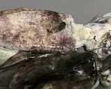 いかと卵のチリソース作り方1写真